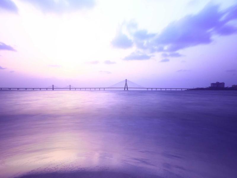 最后生还者<br>lyv4augd.cn 真菌孢子危机